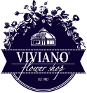 Viviano Logo